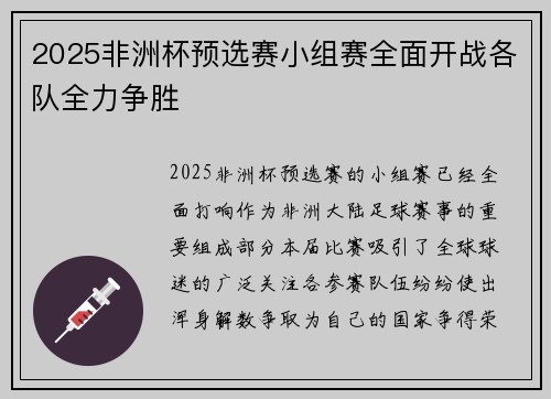2025非洲杯预选赛小组赛全面开战各队全力争胜